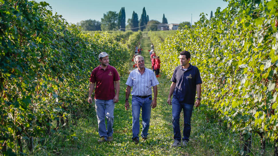 paolo valerio fabio zenato
