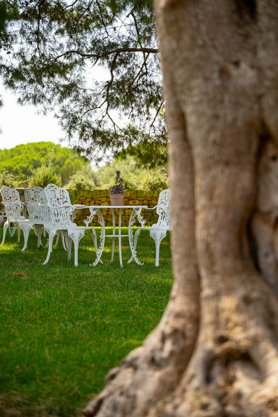pasha polignano a mare 4