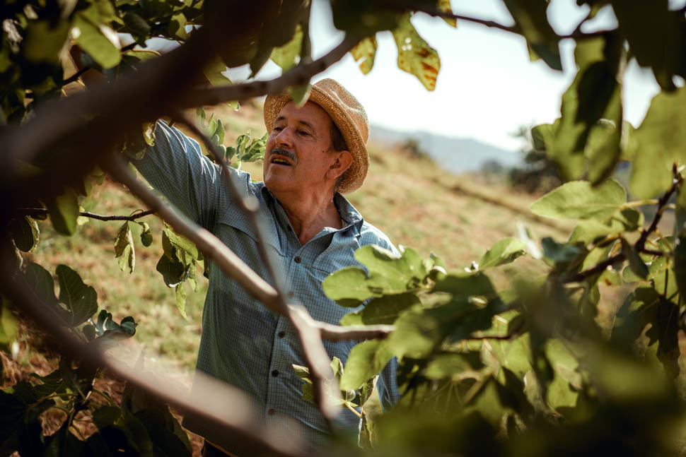 perlage organic wines 14