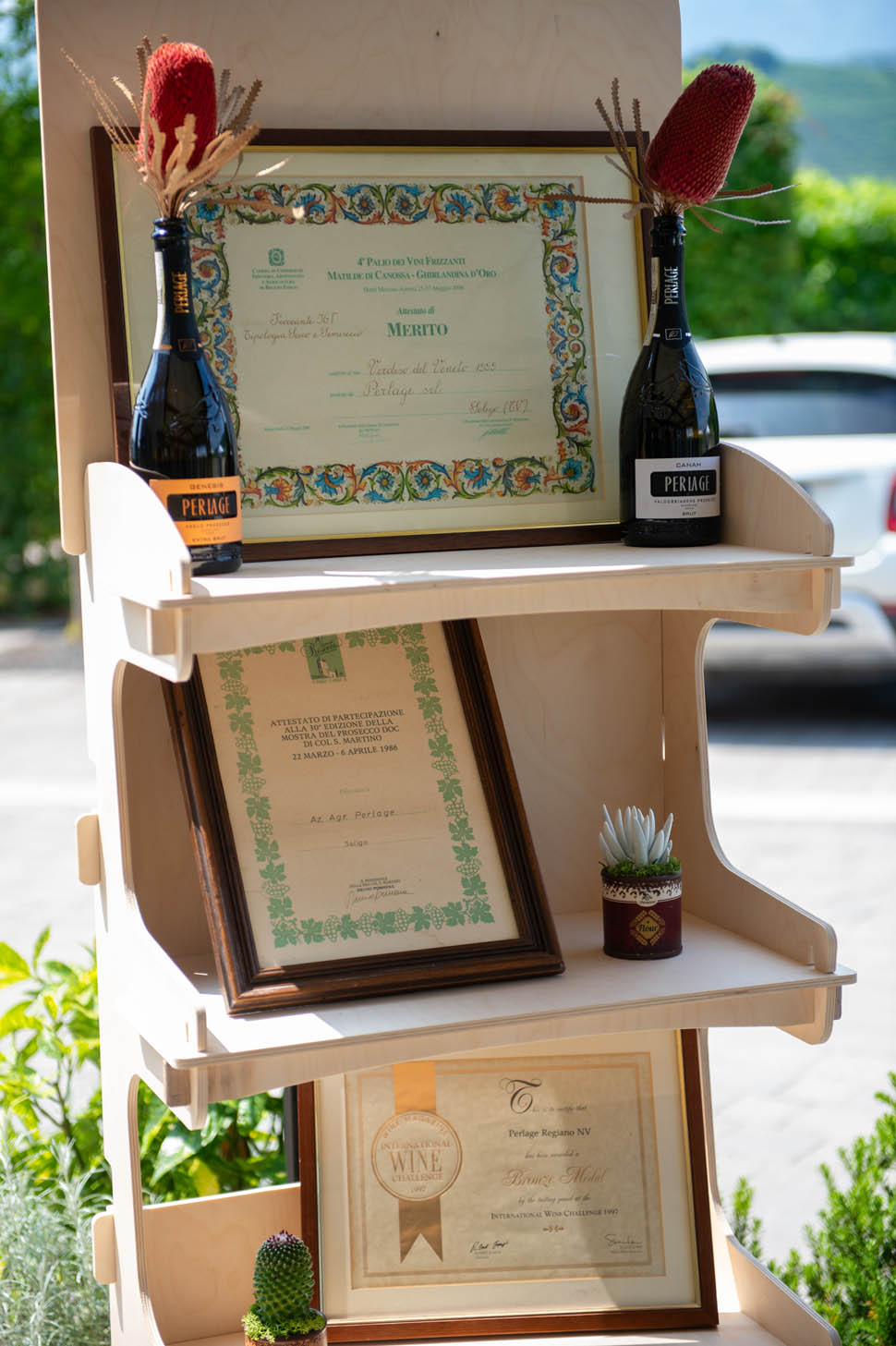 perlage organic wines 16