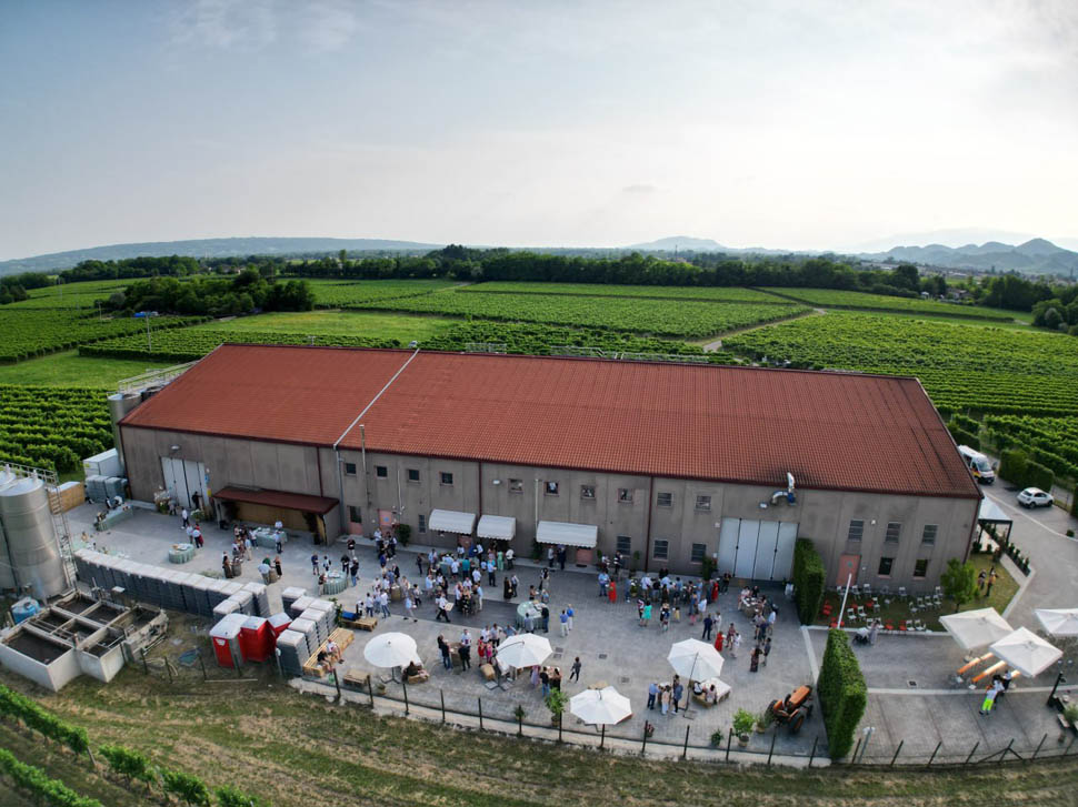 perlage organic wines 7