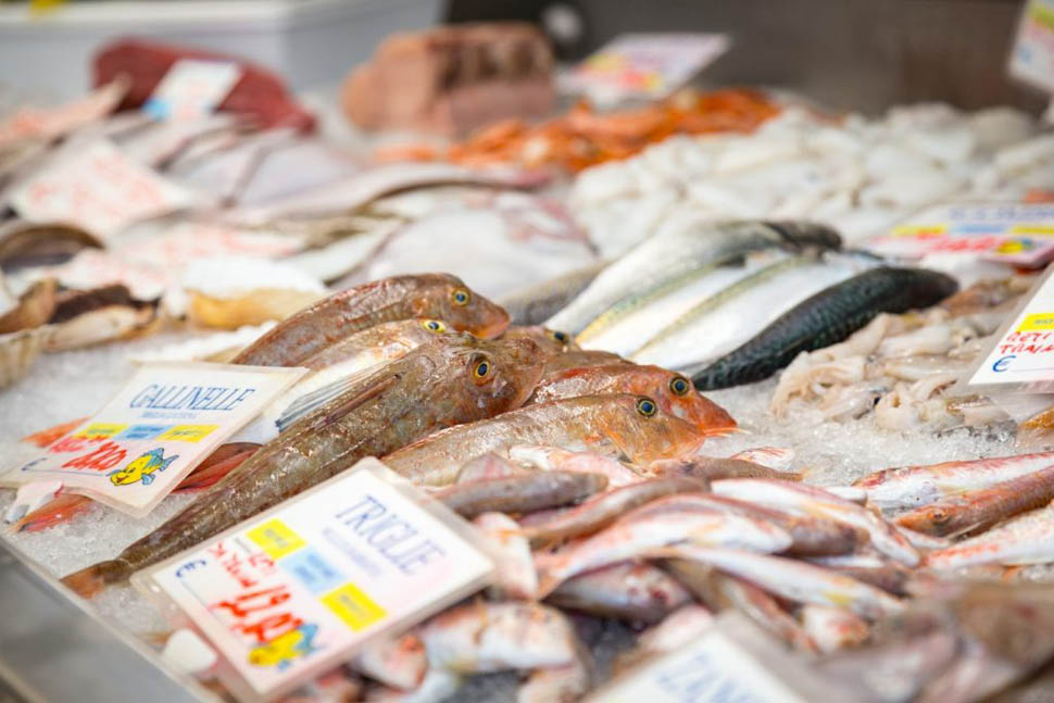pesce fresco