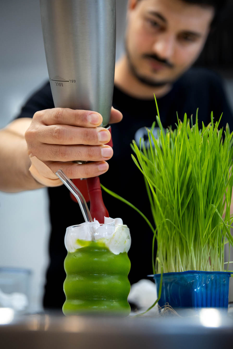 preparazione mexican garden koppert cress 2
