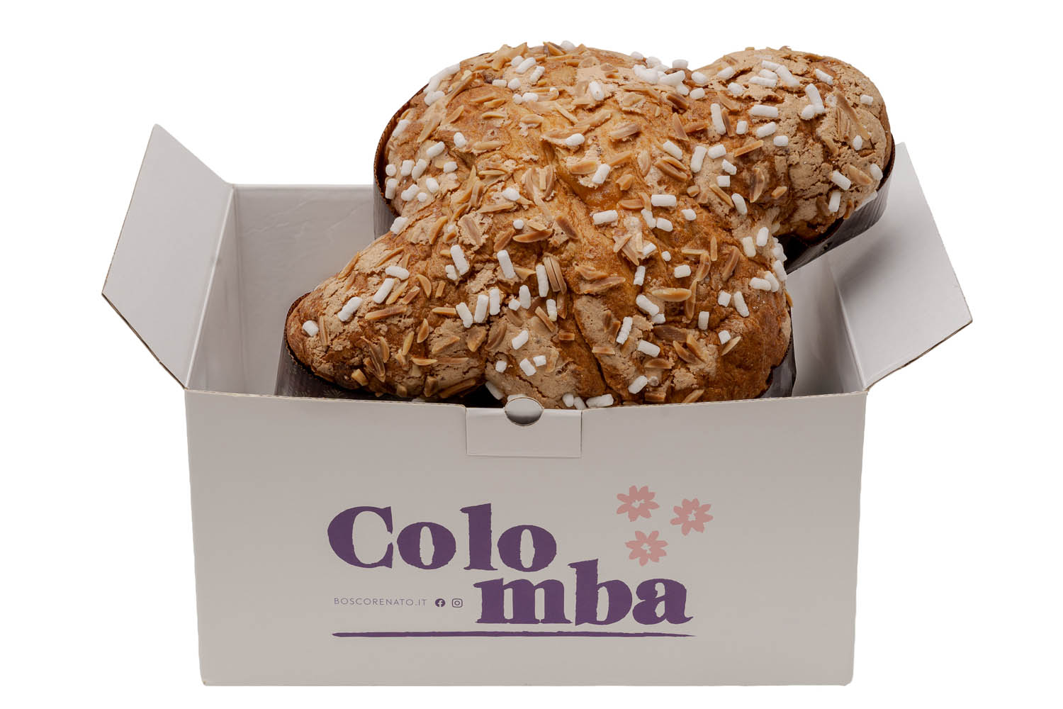 renato bosco 2026 03 23 16 04 15