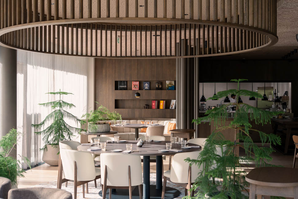 ristorante porcino badia hill 15