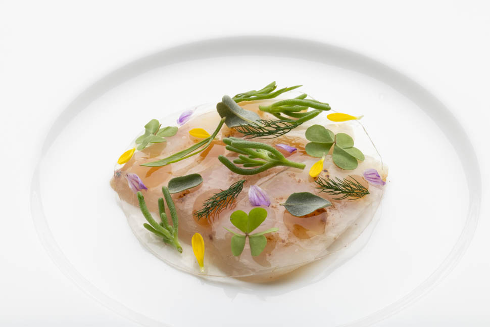 ristorante terra cagliari RICCIOLA ALLA MEDITERRANEA lentisco yogurt 05w