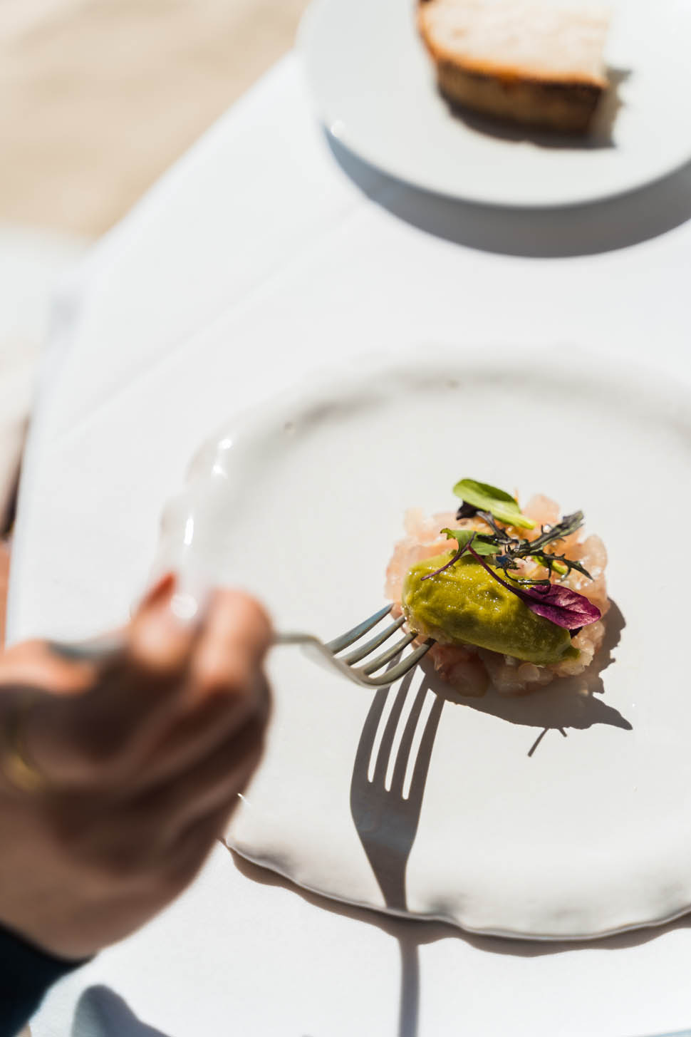 roberto pisano Tartare di pesce bianco limone salato sorbetto mela verde e basilico squame crock