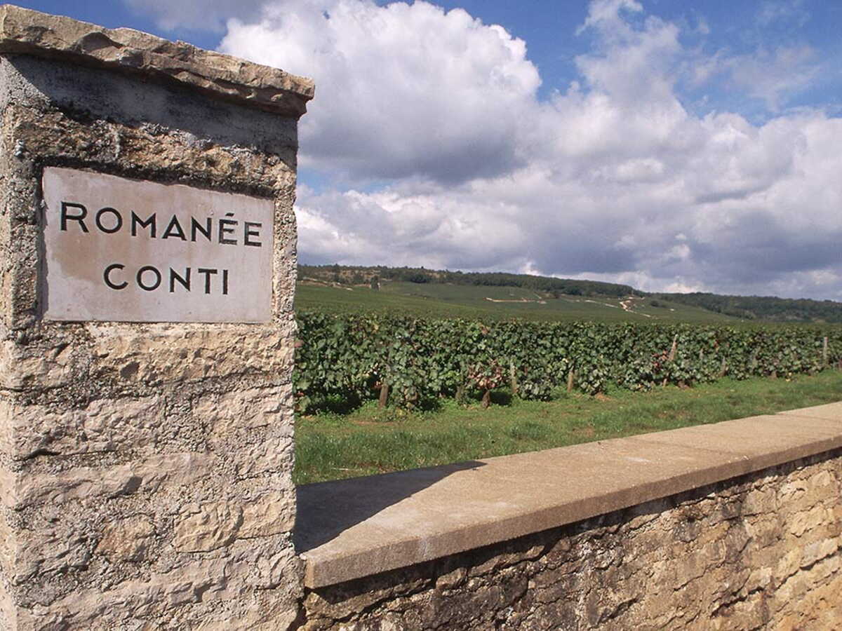 romanee conti les secrets du vin le plus recherche du monde
