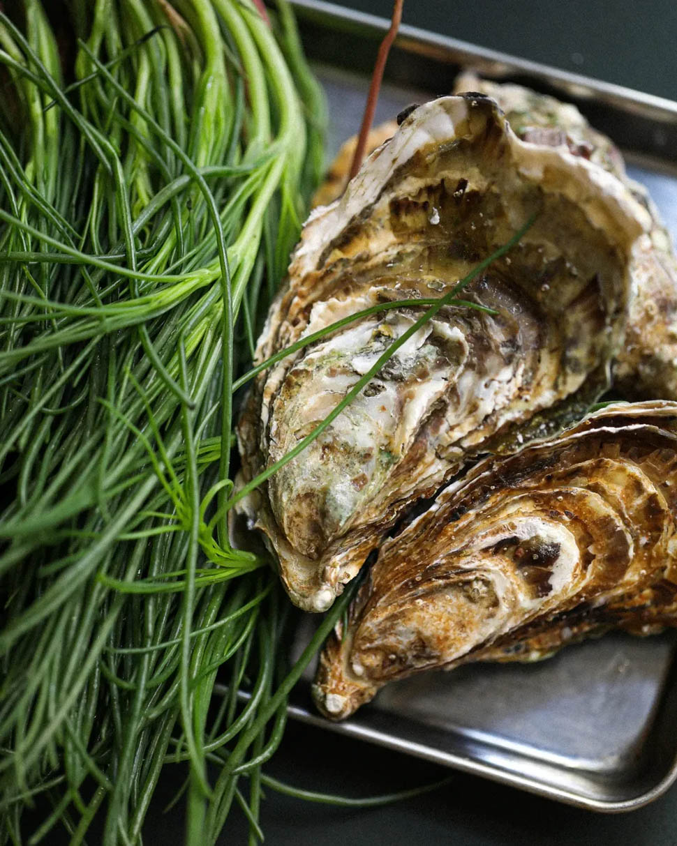 santabarbara firenze spaghetto freddo ostrica 3