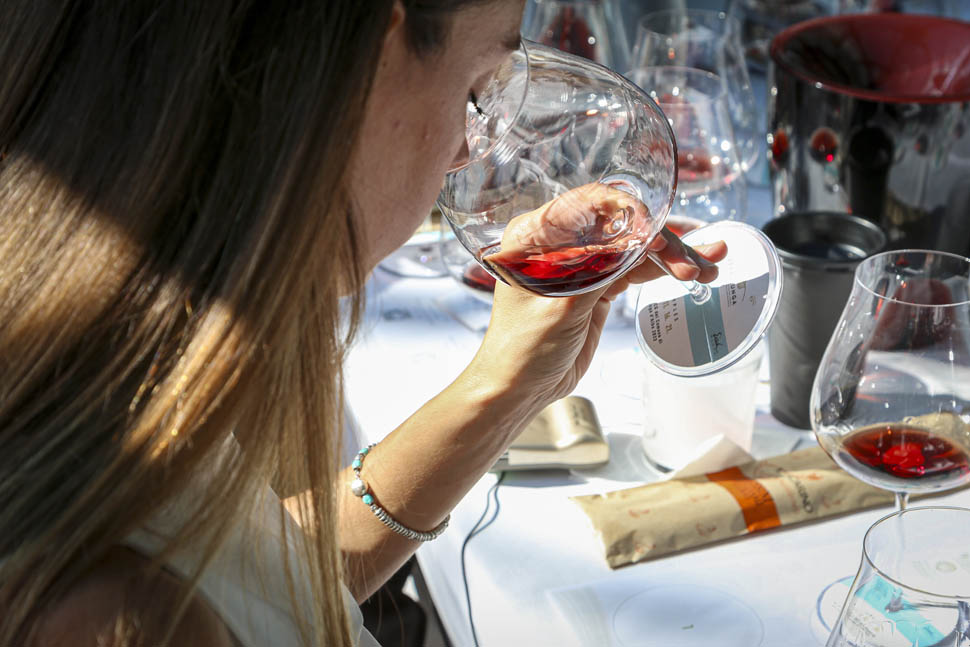 serralunga day barolo barbaresco 8