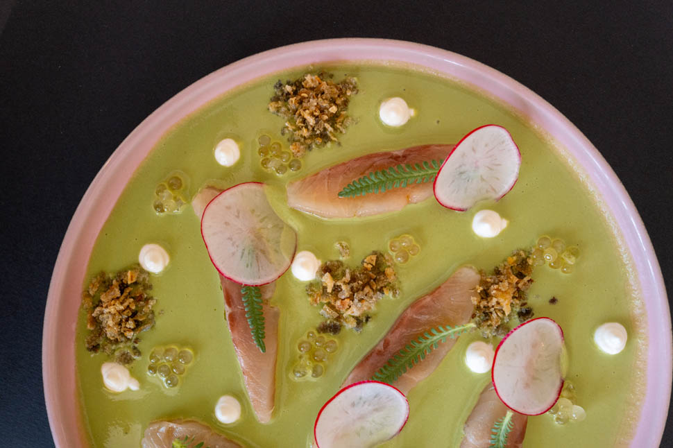 sissi salmerino su crema lattuga 1