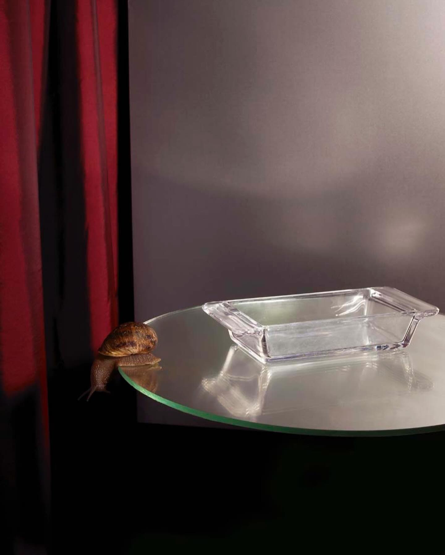 snail porridge original photo the fat duck 1