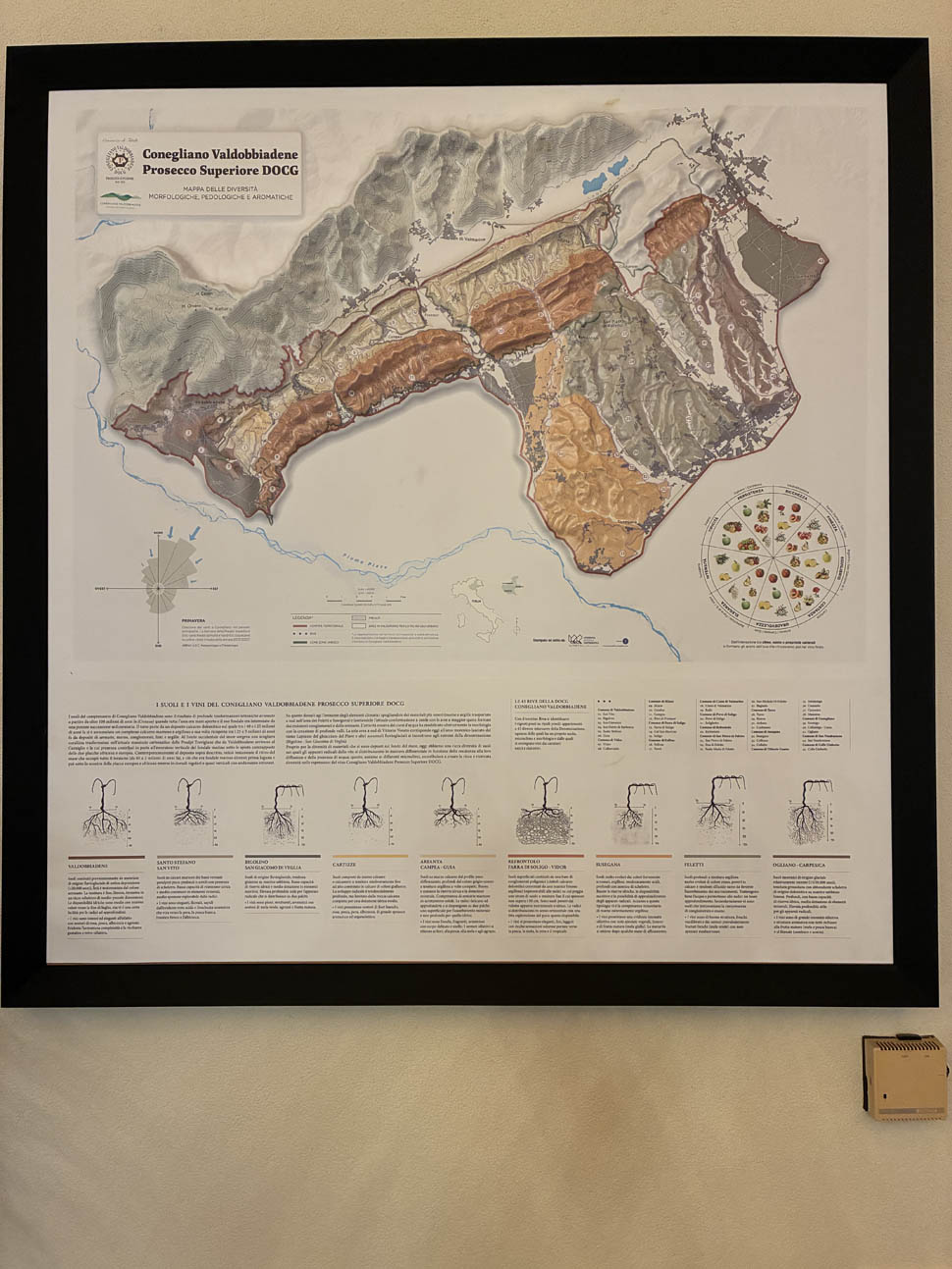 su alto 3 2025 12 31 15 04 22