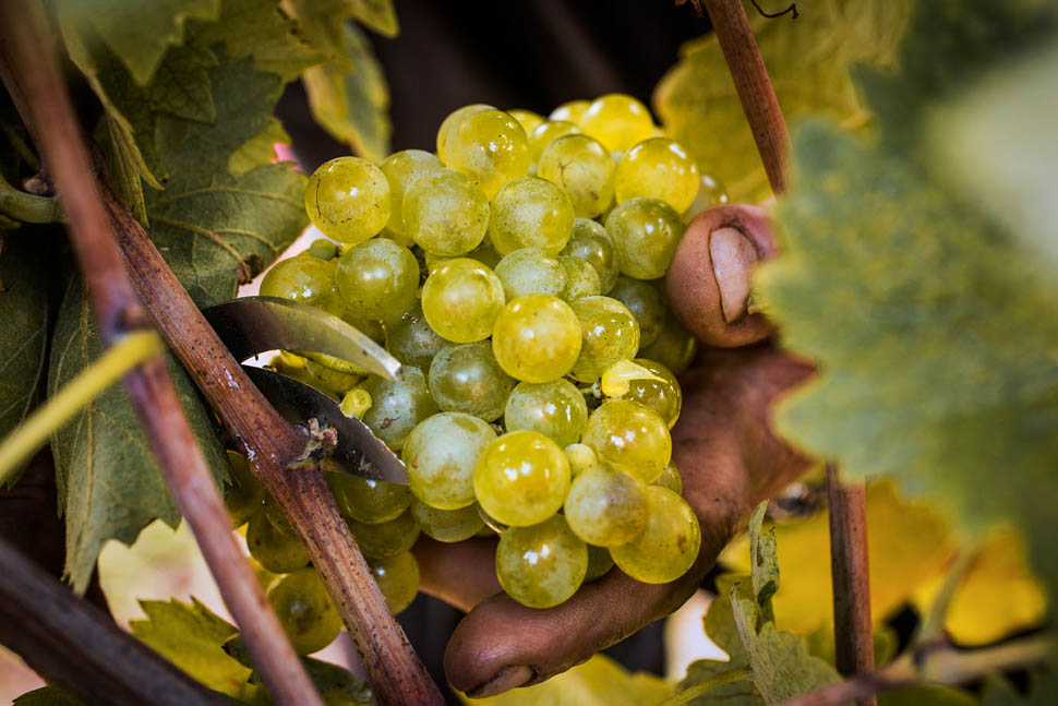 su alto 7 2025 12 31 15 04 23