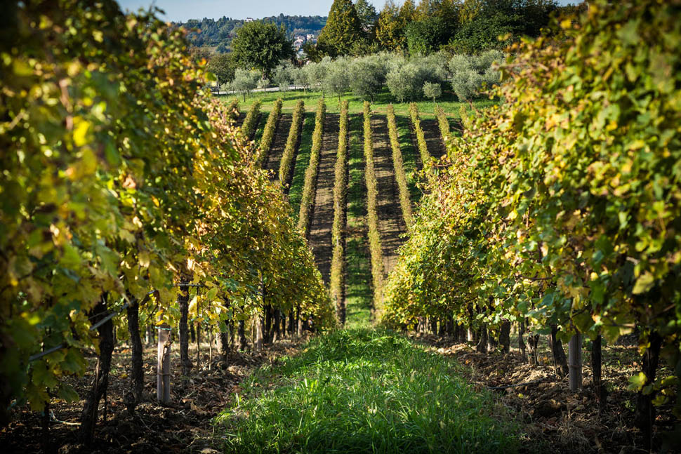 su alto 8 2025 12 31 15 04 23