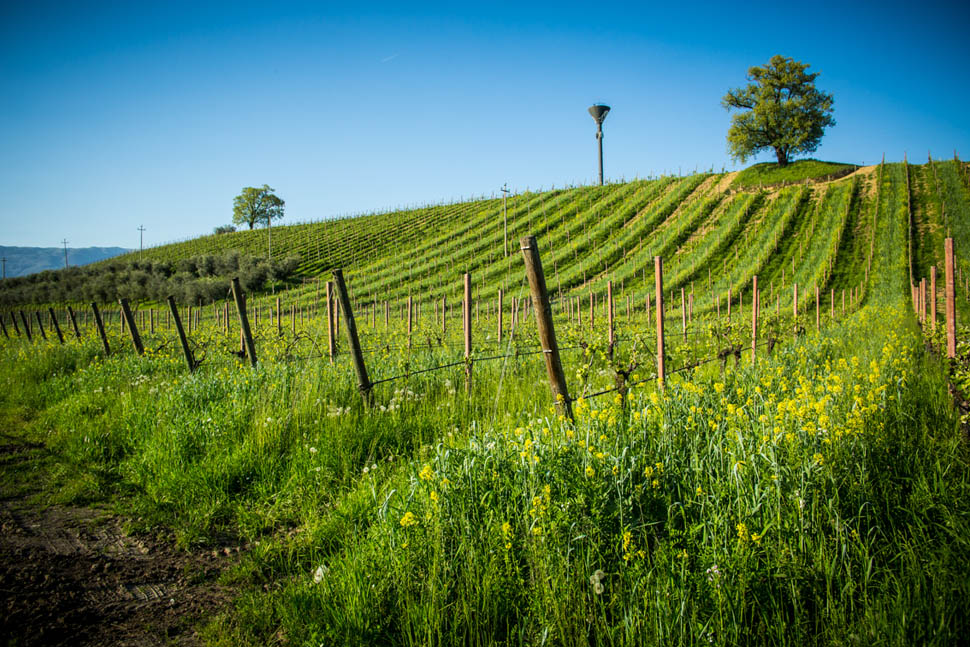 su alto 9 2025 12 31 15 04 23