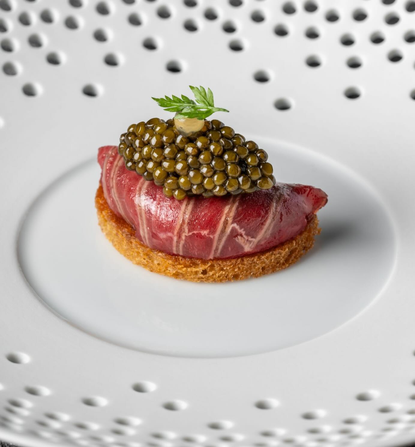 suhring diegoarenasphoto 2