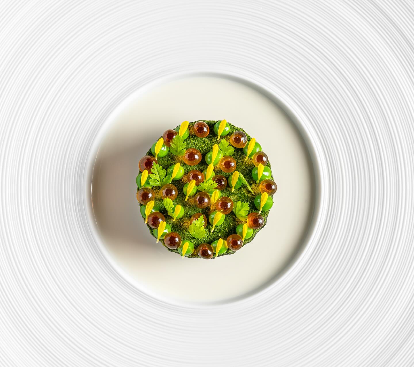 suhring diegoarenasphoto 3