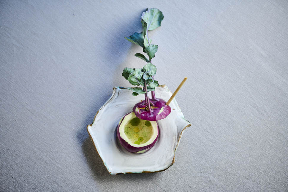 taubenkobel 5 Cabbage turnip coriander