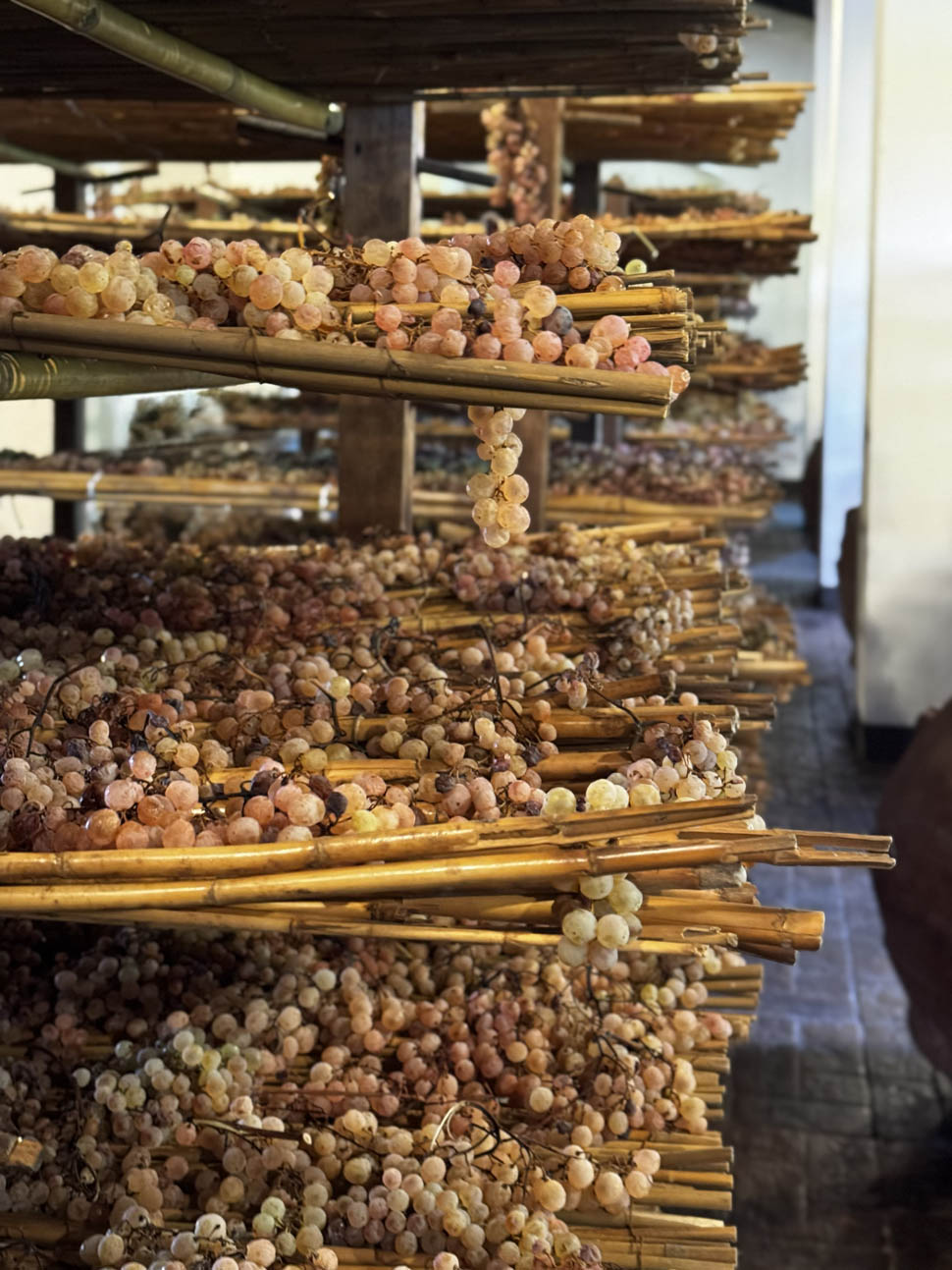 tenuta di capezzana 1