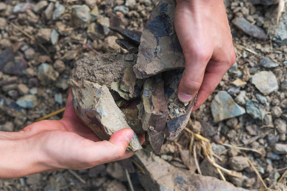 tenuta di capezzana 4