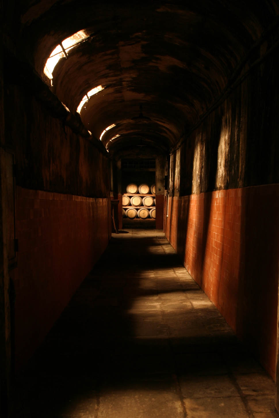 tenuta di capezzana 5