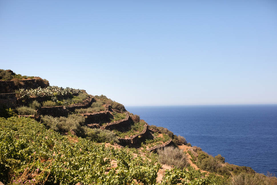 terrazzamenti pantelleria