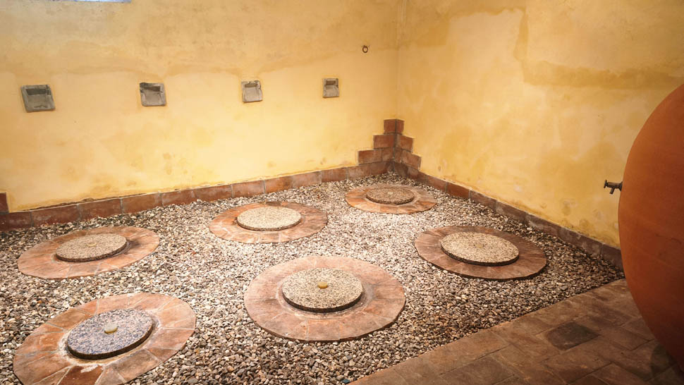 terre di giotto lorenzetti 7