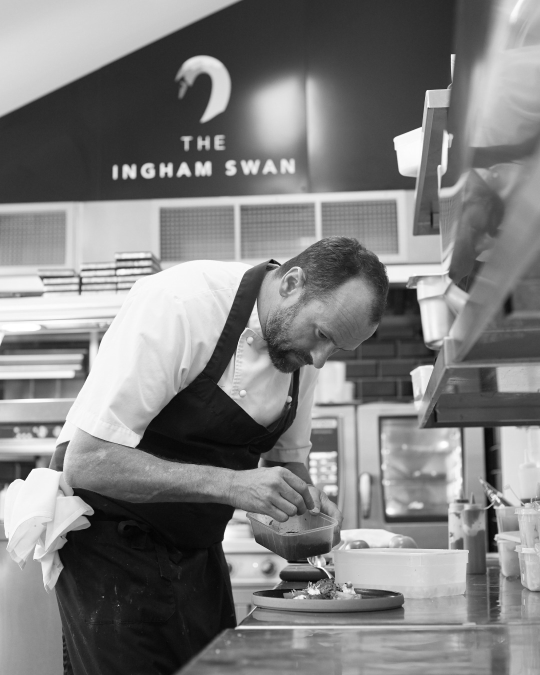 the ingham swan2