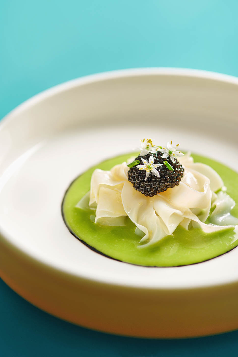 torno subito singapore Seppia Di Laguna