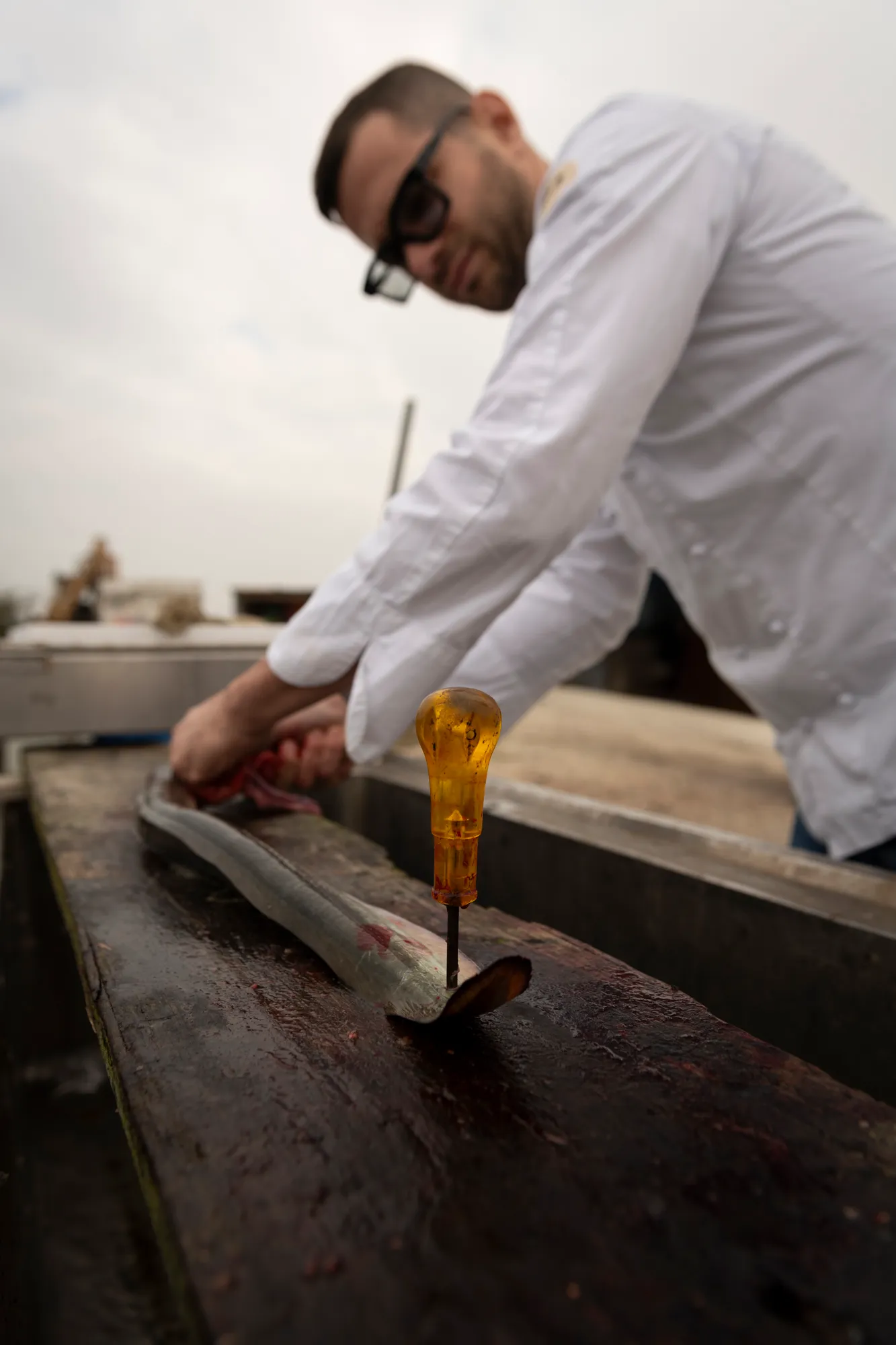 venturi 1 2026 03 16 01 10 52