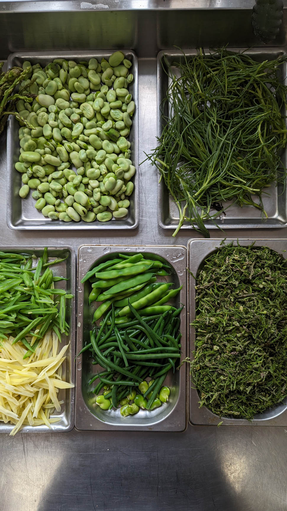 villa inglese picinisco 18