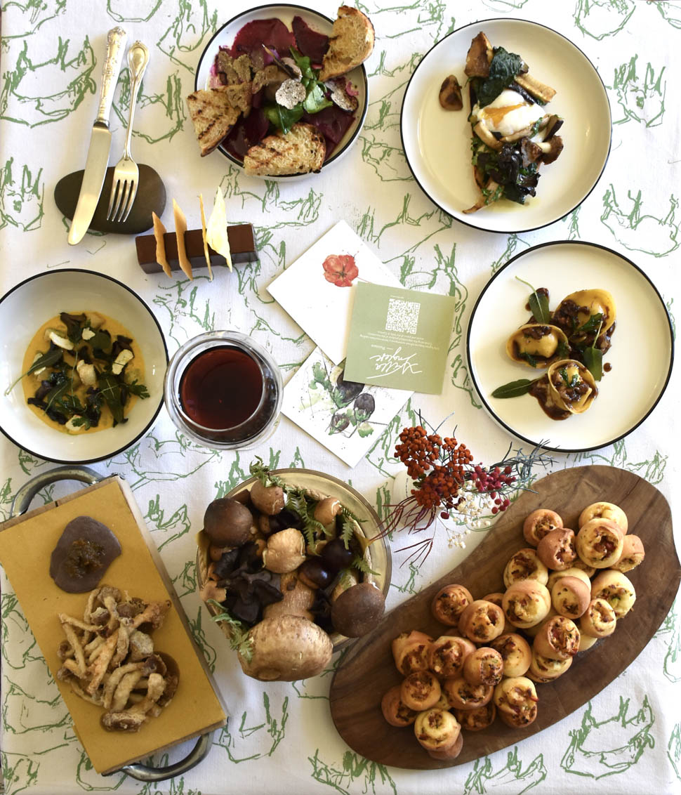 villa inglese picinisco 3