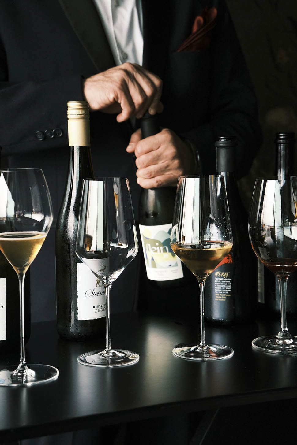 vini 2026 02 27 17 04 21