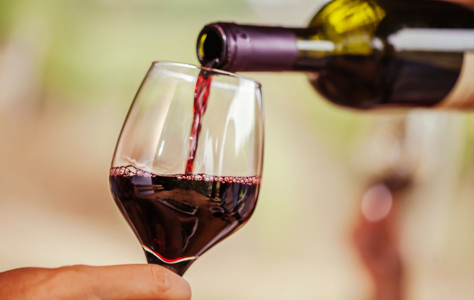 vino 2 2025 08 25 12 07 23