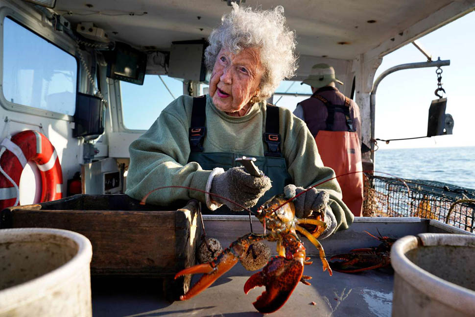 virginia oliver maine lobster lady AP PHOTO ROBERT F BUKATY