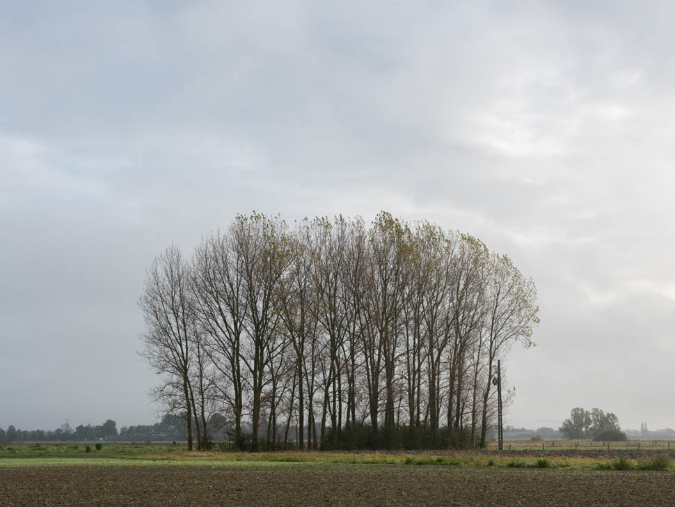 willemhiele20231128 HR 14