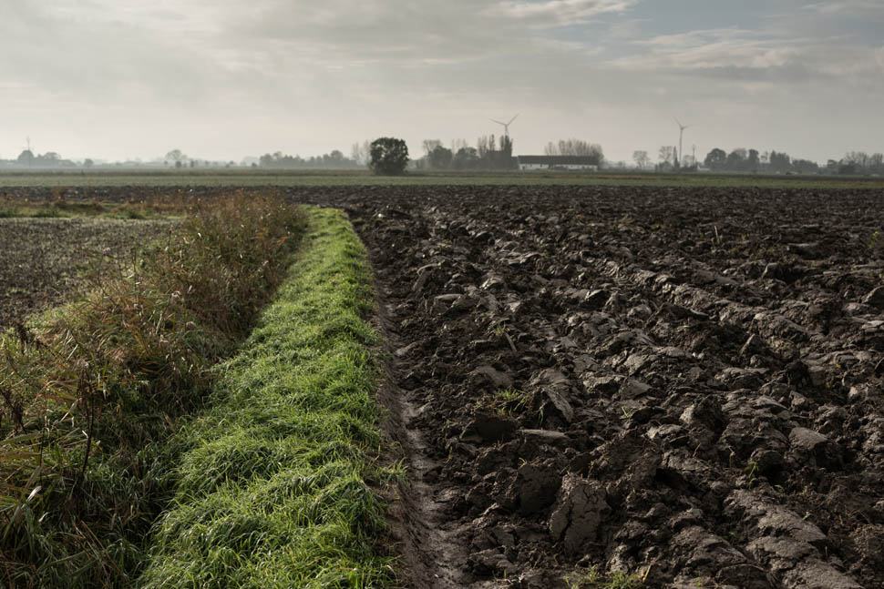 willemhiele20231128 HR 16