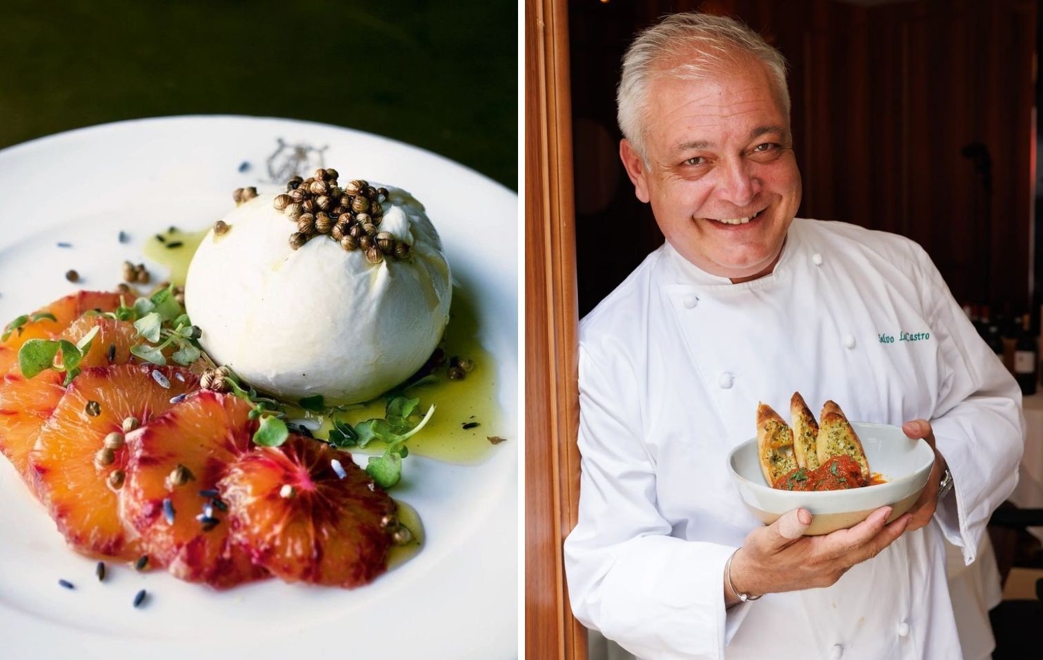 copertina casa salvo