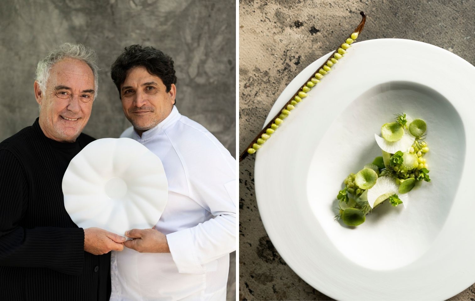 copertina mirazur 20 anni