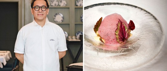 copertina gucci osteria firenze