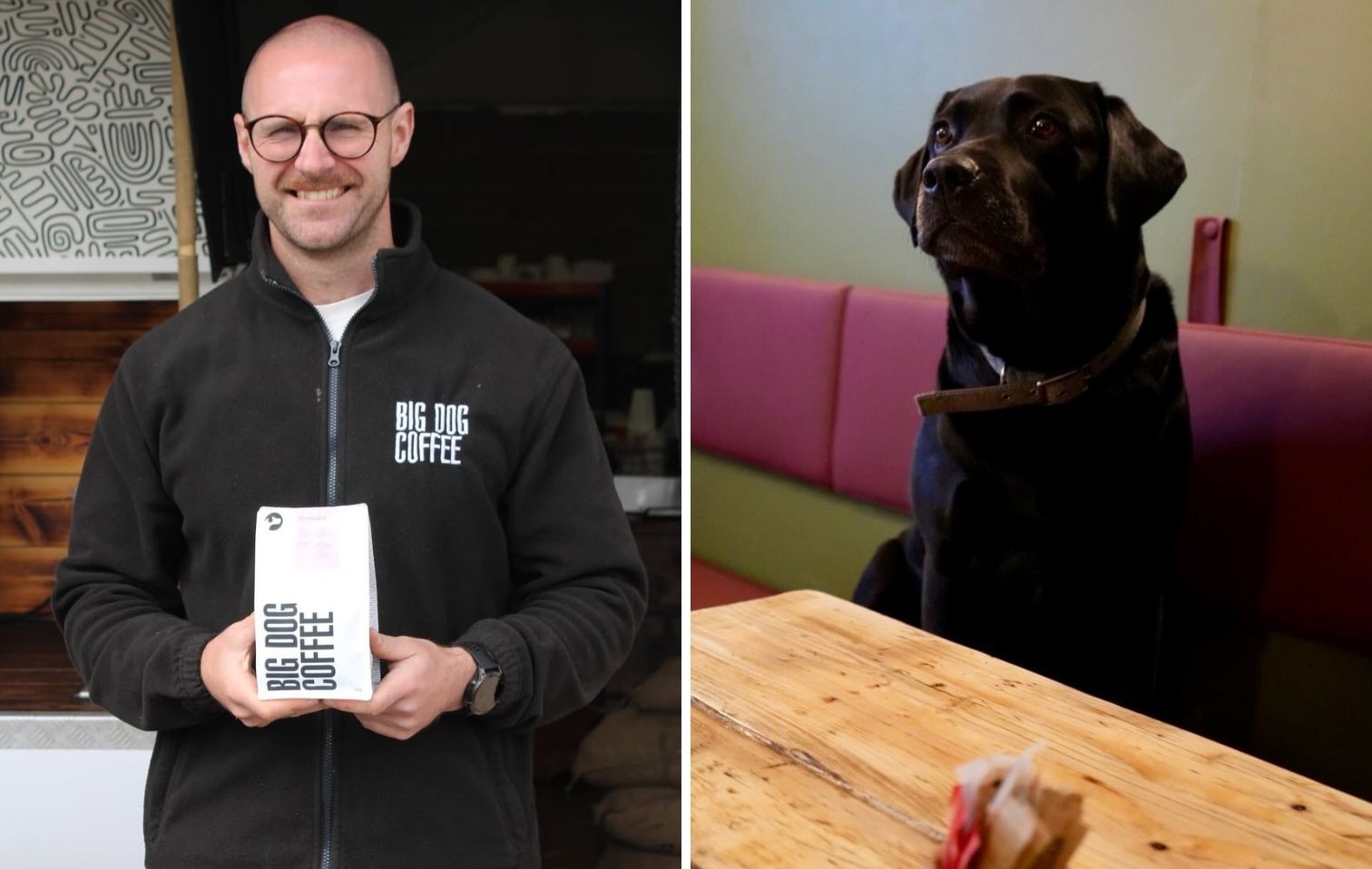 copertina cani nei locali