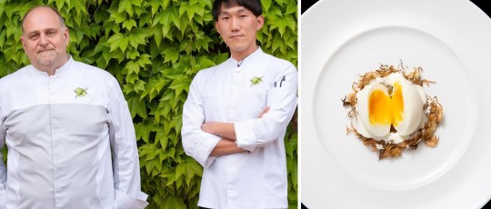 copertina acquerello