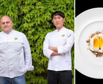 copertina acquerello