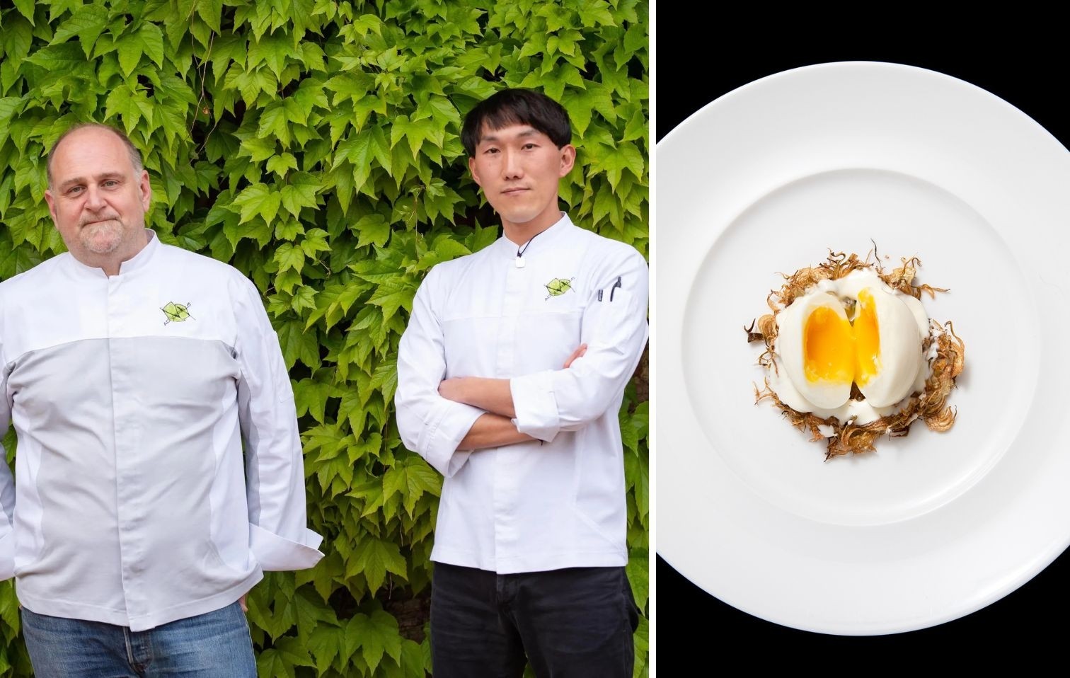 copertina acquerello