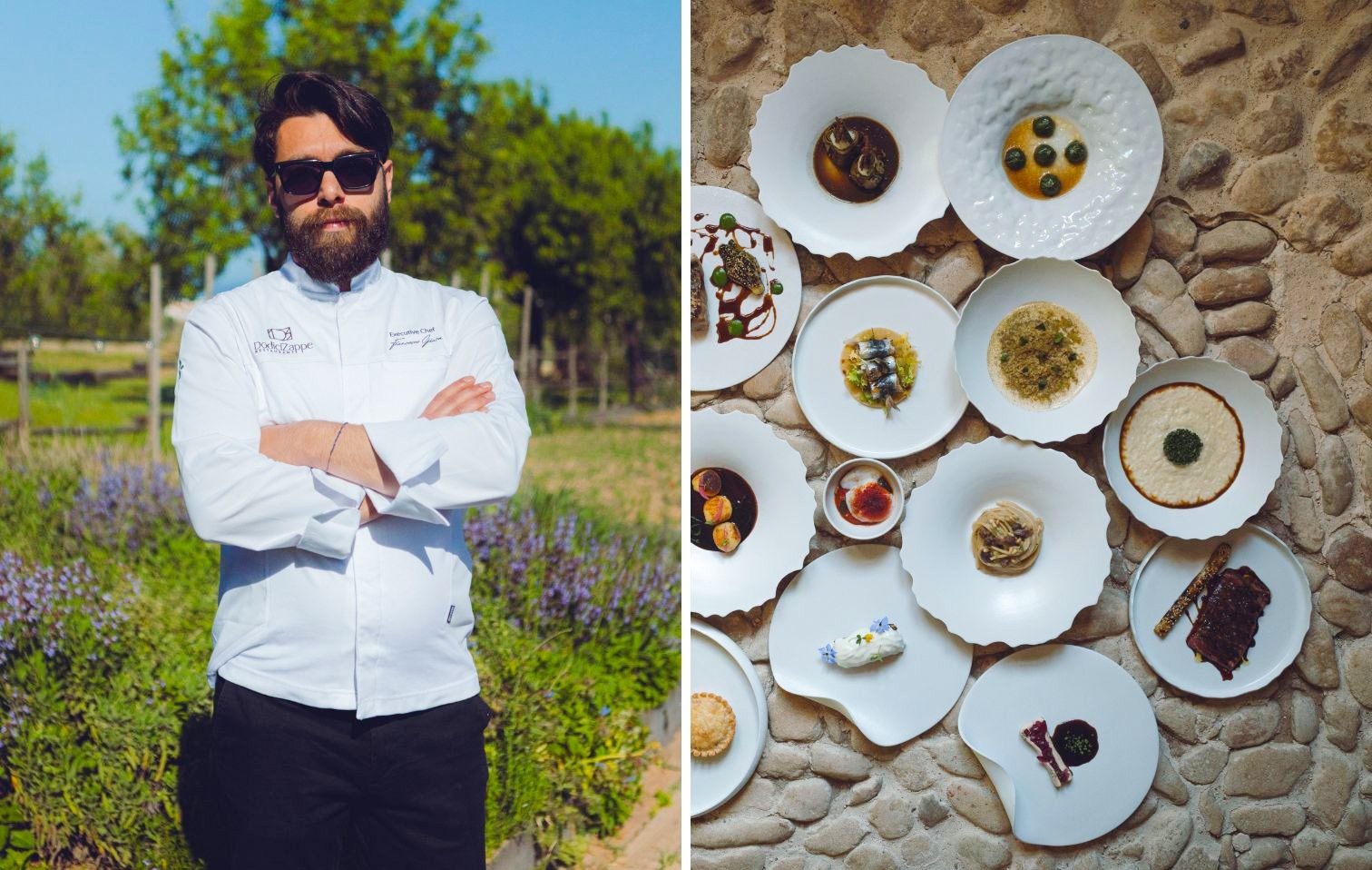 Copertina dodici zappe