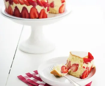 fraisier guy savoy laurencemouton