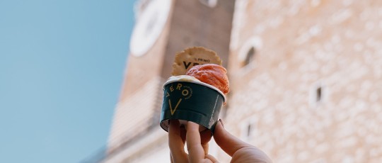 VERO 3