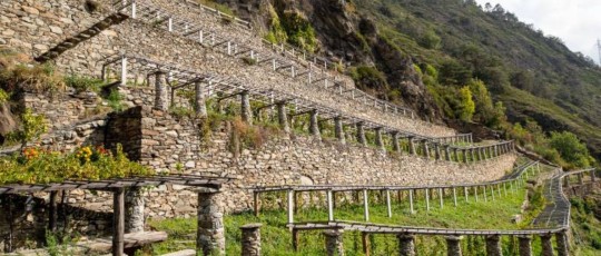 copertina vini valdostani