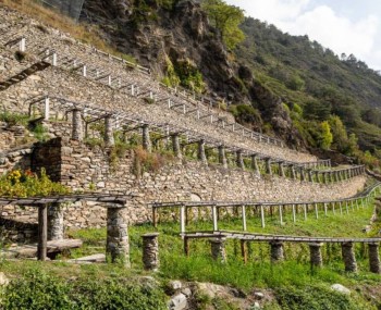 copertina vini valdostani